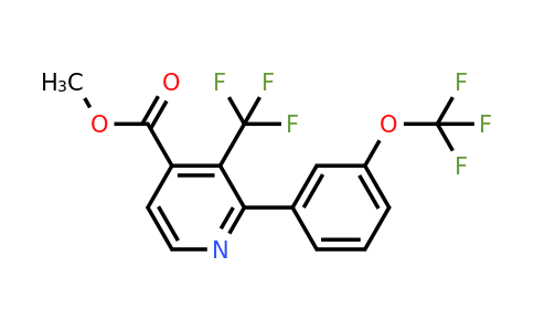 1261744-16-4 | Methyl 2-(3-(trifluoromethoxy)phenyl)-3-(trifluoromethyl)isonicotinate