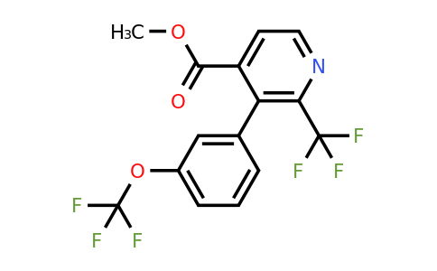 1261744-23-3 | Methyl 3-(3-(trifluoromethoxy)phenyl)-2-(trifluoromethyl)isonicotinate