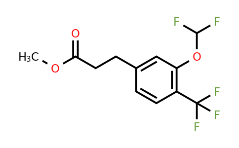 1261746-14-8 | Methyl 3-(3'-(difluoromethoxy)-4'-(trifluoromethyl)phenyl)propionate
