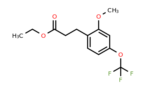 1261748-66-6 | Ethyl 3-(2'-methoxy-4'-(trifluoromethoxy)phenyl)propionate