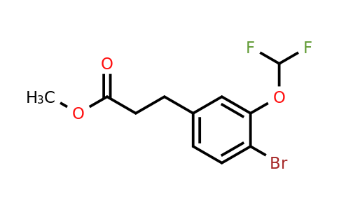 1261751-09-0 | Methyl 3-(4'-bromo-3'-(difluoromethoxy)phenyl)propionate