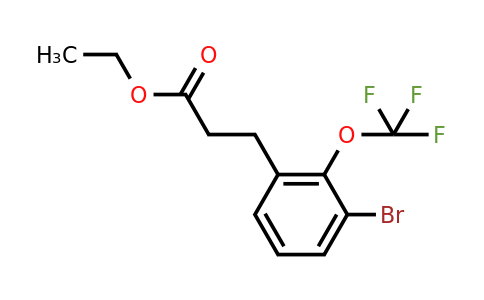 1261751-22-7 | Ethyl 3-(3'-bromo-2'-(trifluoromethoxy)phenyl)propionate
