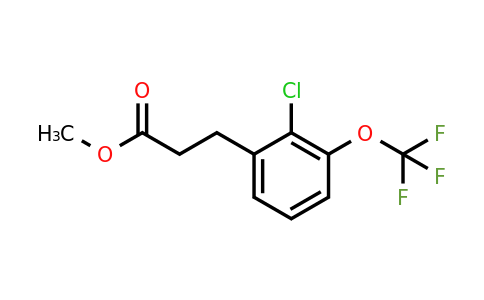1261753-07-4 | Methyl 3-(2'-chloro-3'-(trifluoromethoxy)phenyl)propionate