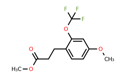 1261753-37-0 | Methyl 3-(4'-methoxy-2'-(trifluoromethoxy)phenyl)propionate