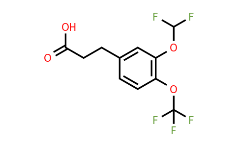 1261761-04-9 | 3-(3'-(Difluoromethoxy)-4'-(trifluoromethoxy)phenyl)propionic acid