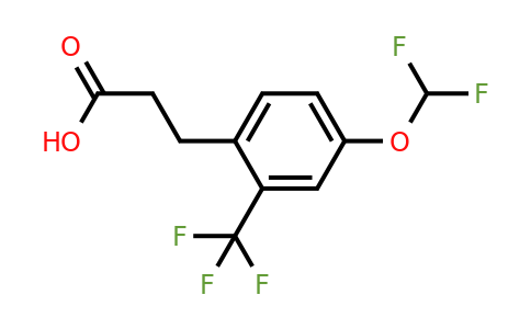 1261761-19-6 | 3-(4'-(Difluoromethoxy)-2'-(trifluoromethyl)phenyl)propionic acid