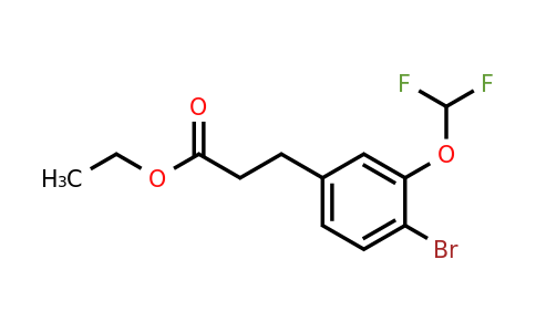 1261761-75-4 | Ethyl 3-(4'-bromo-3'-(difluoromethoxy)phenyl)propionate