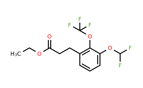 1261762-72-4 | Ethyl 3-(3'-(difluoromethoxy)-2'-(trifluoromethoxy)phenyl)propionate