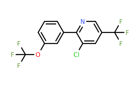 1261763-65-8 | 3-Chloro-2-(3-(trifluoromethoxy)phenyl)-5-(trifluoromethyl)pyridine