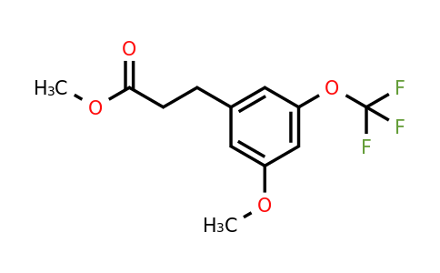 1261764-23-1 | Methyl 3-(3'-methoxy-5'-(trifluoromethoxy)phenyl)propionate
