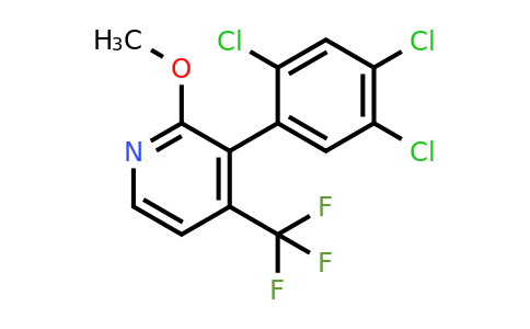 1261773-02-7 | 2-Methoxy-3-(2,4,5-trichlorophenyl)-4-(trifluoromethyl)pyridine