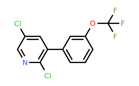 1261776-94-6 | 2,5-Dichloro-3-(3-(trifluoromethoxy)phenyl)pyridine