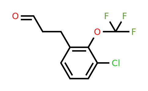 1261779-63-8 | 3-(3'-Chloro-2'-(trifluoromethoxy)phenyl)propionaldehyde