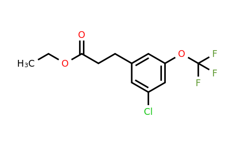 1261779-79-6 | Ethyl 3-(3'-chloro-5'-(trifluoromethoxy)phenyl)propionate