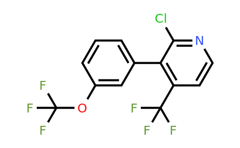 1261782-40-4 | 2-Chloro-3-(3-(trifluoromethoxy)phenyl)-4-(trifluoromethyl)pyridine