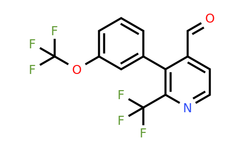 1261783-15-6 | 3-(3-(Trifluoromethoxy)phenyl)-2-(trifluoromethyl)isonicotinaldehyde