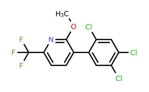 1261791-03-0 | 2-Methoxy-3-(2,4,5-trichlorophenyl)-6-(trifluoromethyl)pyridine