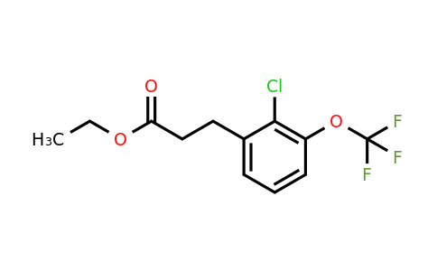 1261792-16-8 | Ethyl 3-(2'-chloro-3'-(trifluoromethoxy)phenyl)propionate