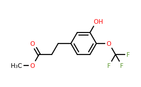 1261792-24-8 | Methyl 3-(3'-hydroxy-4'-(trifluoromethoxy)phenyl)propionate