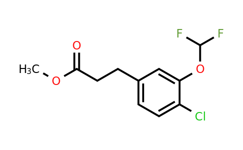 1261797-42-5 | Methyl 3-(4'-chloro-3'-(difluoromethoxy)phenyl)propionate