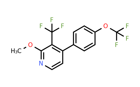 1261797-70-9 | 2-Methoxy-4-(4-(trifluoromethoxy)phenyl)-3-(trifluoromethyl)pyridine