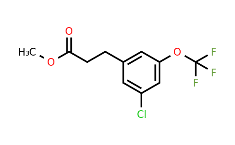 1261798-25-7 | Methyl 3-(3'-chloro-5'-(trifluoromethoxy)phenyl)propionate