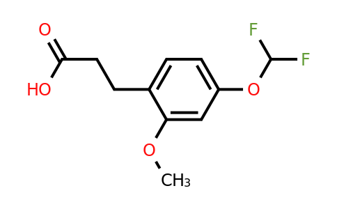1261825-66-4 | 3-(4'-(Difluoromethoxy)-2'-methoxyphenyl)propionic acid