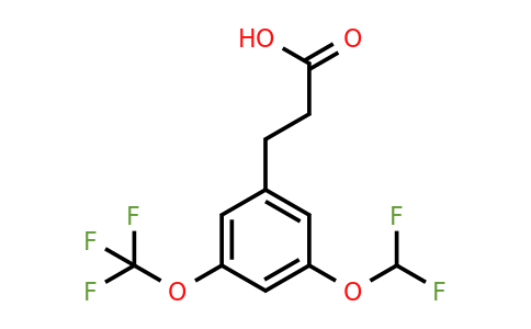 1261825-73-3 | 3-(3'-(Difluoromethoxy)-5'-(trifluoromethoxy)phenyl)propionic acid