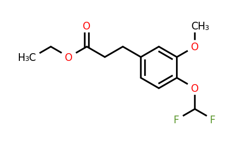 1261826-10-1 | Ethyl 3-(4'-(difluoromethoxy)-3'-methoxyphenyl)propionate