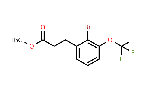 1261829-50-8 | Methyl 3-(2'-bromo-3'-(trifluoromethoxy)phenyl)propionate
