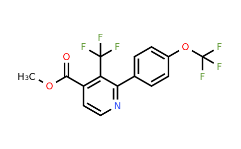 1261832-37-4 | Methyl 2-(4-(trifluoromethoxy)phenyl)-3-(trifluoromethyl)isonicotinate