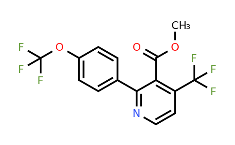 1261832-38-5 | Methyl 2-(4-(trifluoromethoxy)phenyl)-4-(trifluoromethyl)nicotinate