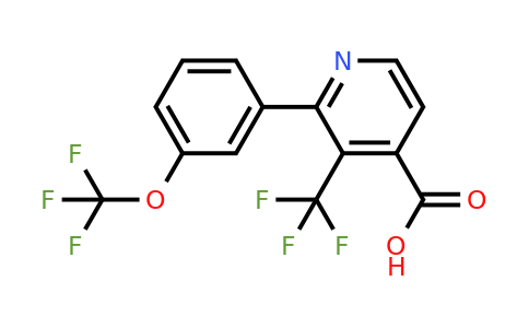 1261834-01-8 | 2-(3-(Trifluoromethoxy)phenyl)-3-(trifluoromethyl)isonicotinic acid