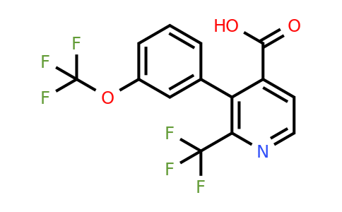 1261834-03-0 | 3-(3-(Trifluoromethoxy)phenyl)-2-(trifluoromethyl)isonicotinic acid