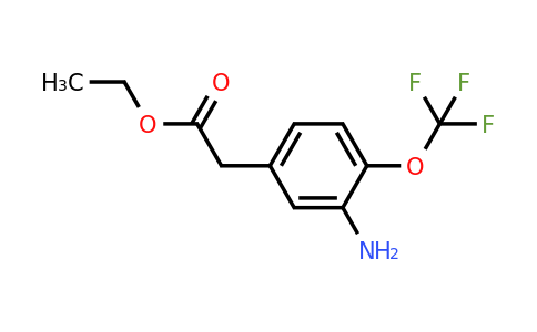 1261835-50-0 | Ethyl 3-amino-4-(trifluoromethoxy)phenylacetate
