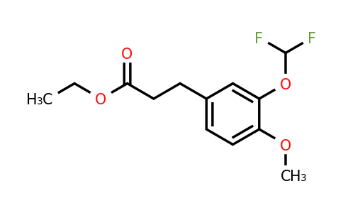 1261835-78-2 | Ethyl 3-(3'-(difluoromethoxy)-4'-methoxyphenyl)propionate