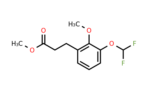 1261836-14-9 | Methyl 3-(3'-(difluoromethoxy)-2'-methoxyphenyl)propionate