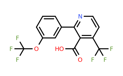 1261840-82-7 | 2-(3-(Trifluoromethoxy)phenyl)-4-(trifluoromethyl)nicotinic acid