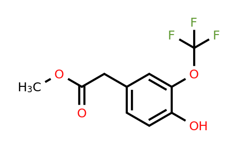 1261852-19-0 | Methyl 4-hydroxy-3-(trifluoromethoxy)phenylacetate