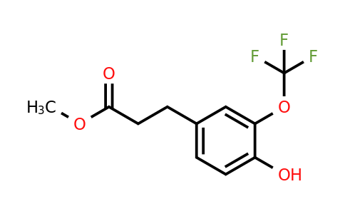 1261852-21-4 | Methyl 3-(4'-hydroxy-3'-(trifluoromethoxy)phenyl)propionate