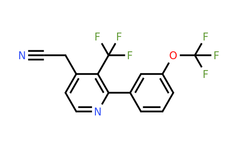 1261856-61-4 | 2-(3-(Trifluoromethoxy)phenyl)-3-(trifluoromethyl)pyridine-4-acetonitrile