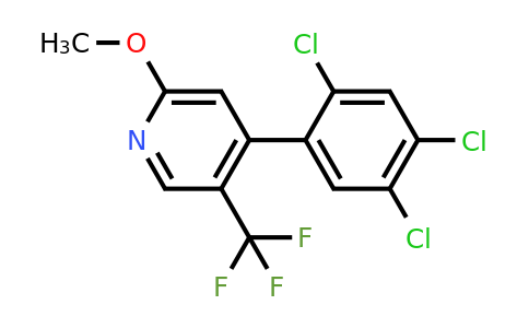 1261859-59-9 | 2-Methoxy-4-(2,4,5-trichlorophenyl)-5-(trifluoromethyl)pyridine