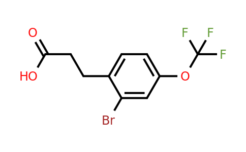 1261861-13-5 | 3-(2'-Bromo-4'-(trifluoromethoxy)phenyl)propionic acid