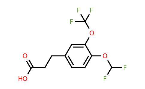 1261862-32-1 | 3-(4'-(Difluoromethoxy)-3'-(trifluoromethoxy)phenyl)propionic acid