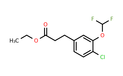 1261862-77-4 | Ethyl 3-(4'-chloro-3'-(difluoromethoxy)phenyl)propionate