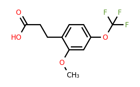 1261865-84-2 | 3-(2'-Methoxy-4'-(trifluoromethoxy)phenyl)propionic acid