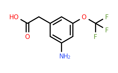 1261873-61-3 | 3-Amino-5-(trifluoromethoxy)phenylacetic acid