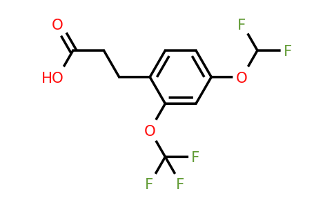1261877-06-8 | 3-(4'-(Difluoromethoxy)-2'-(trifluoromethoxy)phenyl)propionic acid
