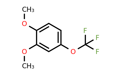1261878-51-6 | 3,4-Dimethoxy(trifluoromethoxy)benzene