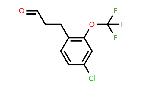 1261878-56-1 | 3-(4'-Chloro-2'-(trifluoromethoxy)phenyl)propionaldehyde